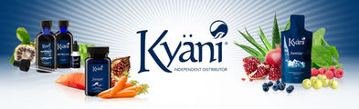 Chiropractic Houston TX Kyani Graphic